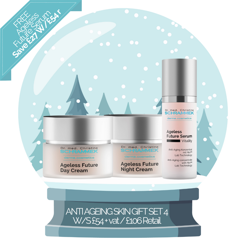 AGELESS FUTURE 4 - VITALITY / ANTI AGE CHRISTMAS GIFT SET